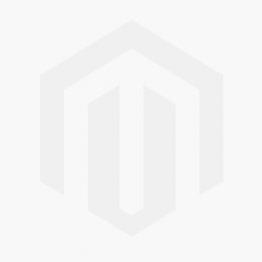 Amaryllis Splash - Royal Dutch Double Amaryllis - Amaryllis - Flower Bulb Index