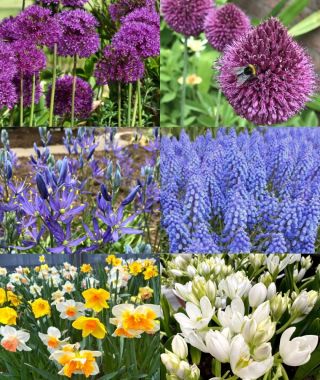 Collection P:  The Deer-Proof Garden 