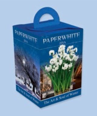 Paperwhite Gift Boxes