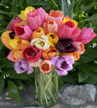 The Single Late Majestic Tulip Mixture | Van Engelen Wholesale